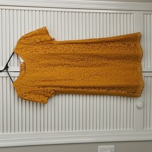 LOFT Goldenrod lace short sleeve dress